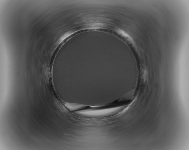 X0000086731457200704271621