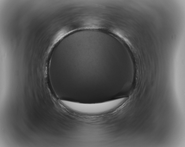 X0000086731459200704271621