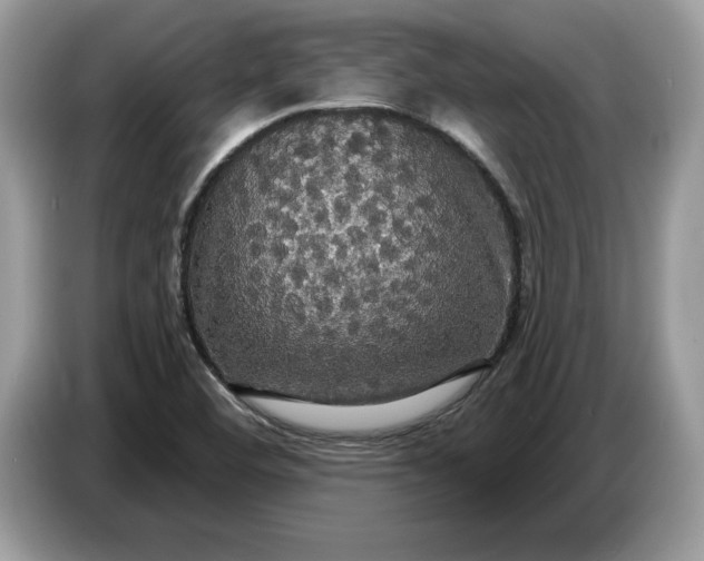 X0000086731460200704271621