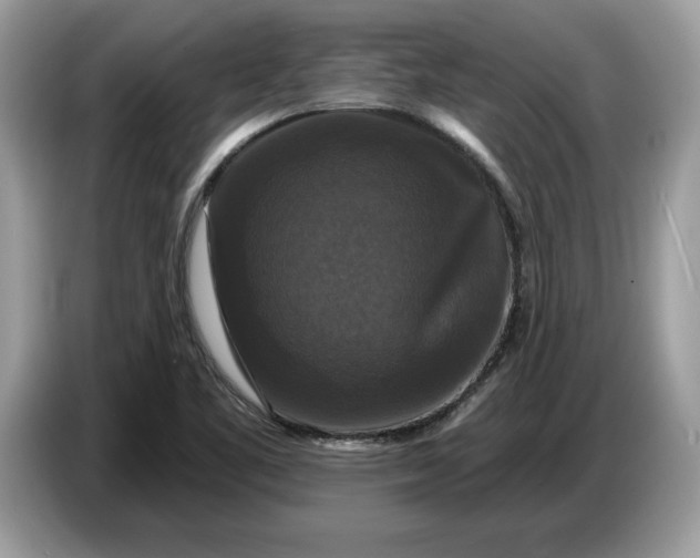 X0000086731461200704271621