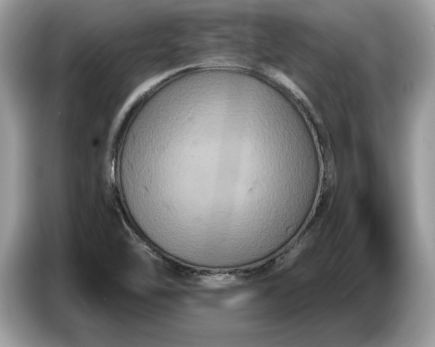 X0000086731462200704271621