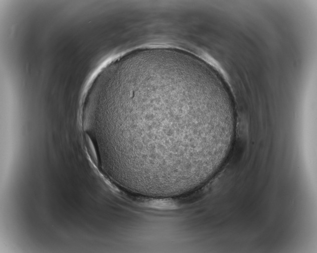 X0000086731464200704271621