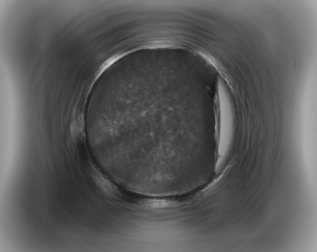 X0000086731465200704271621