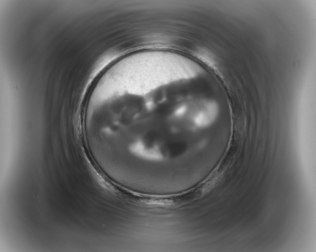 X0000086731466200704271621