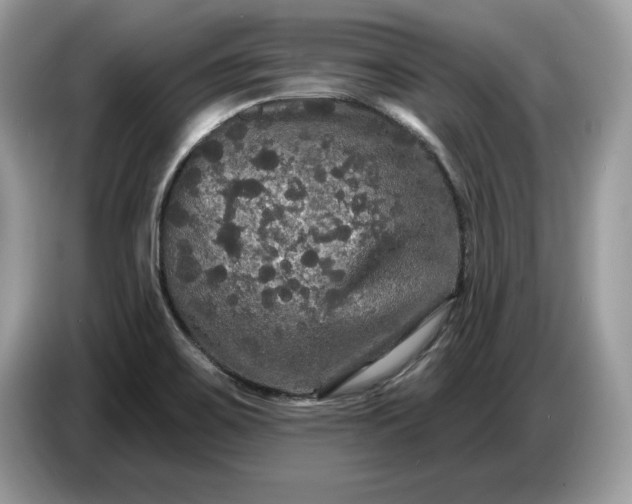 X0000086731467200704271621