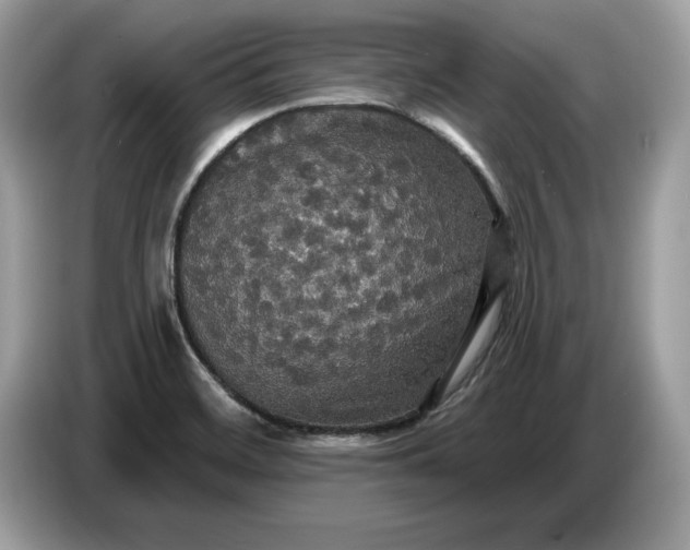 X0000086731468200704271621