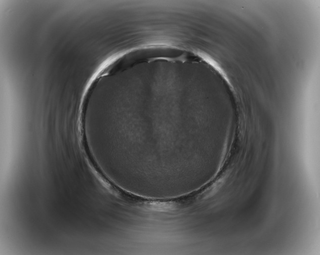 X0000086731469200704271621