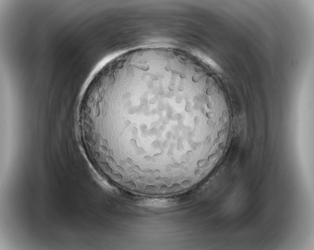 X0000086731470200704271621