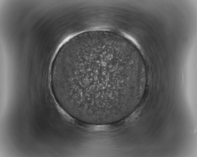 X0000086731471200704271621