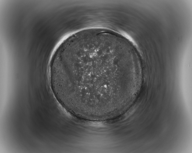 X0000086731472200704271621