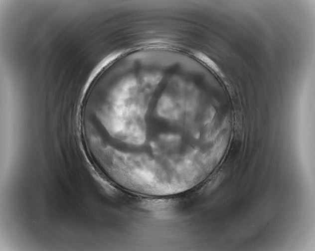 X0000086731474200704271621