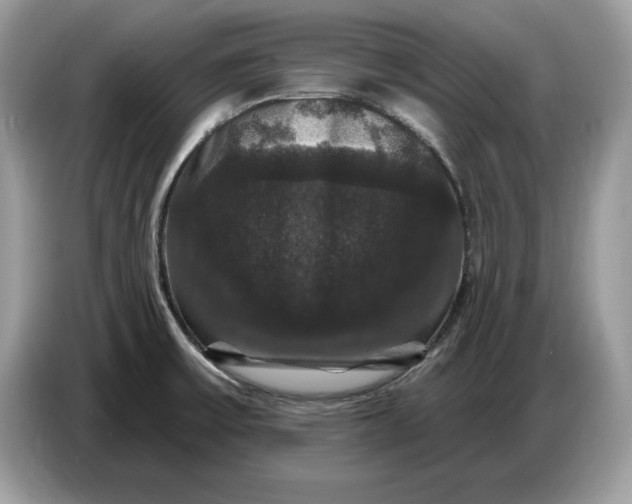 X0000086731475200704271621