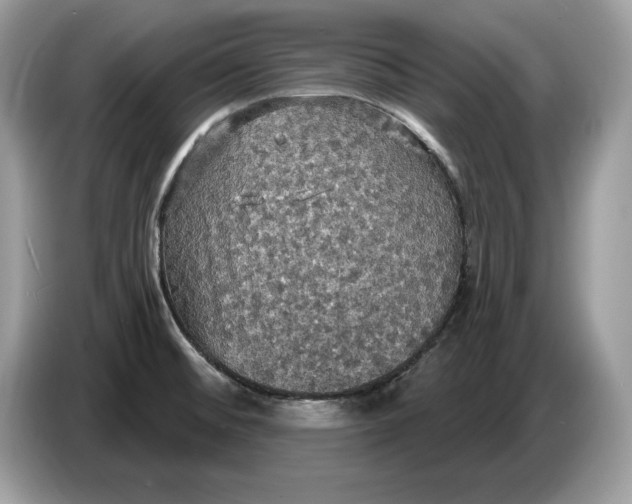 X0000086731476200704271621