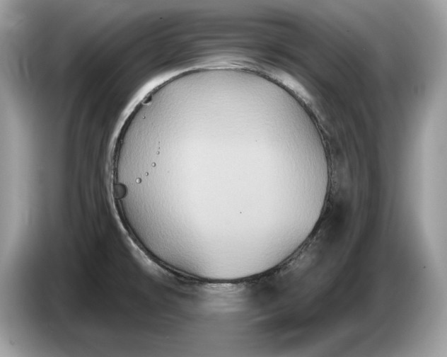 X0000086731478200704271621