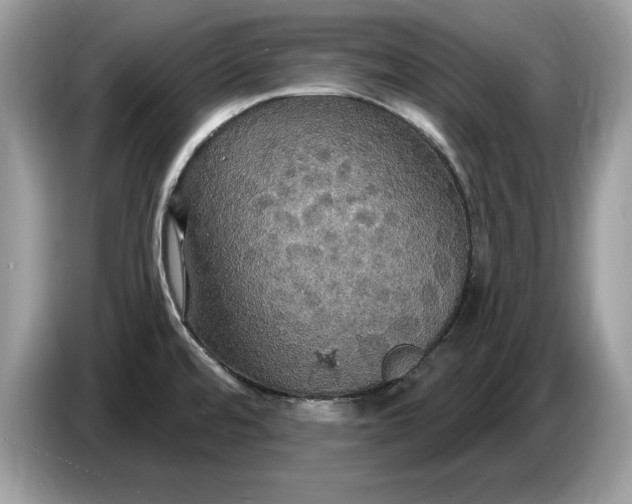 X0000086731480200704271621