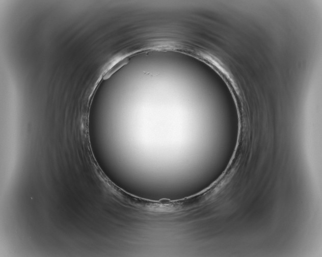 X0000086731481200704271620