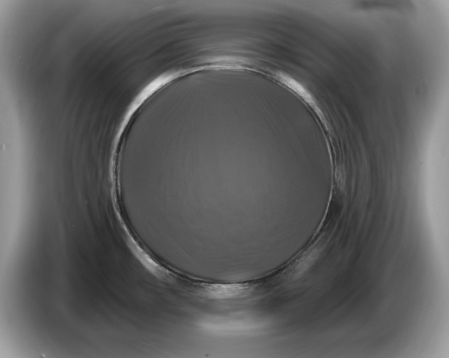 X0000086731482200704271620