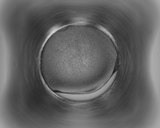 X0000086731483200704271620