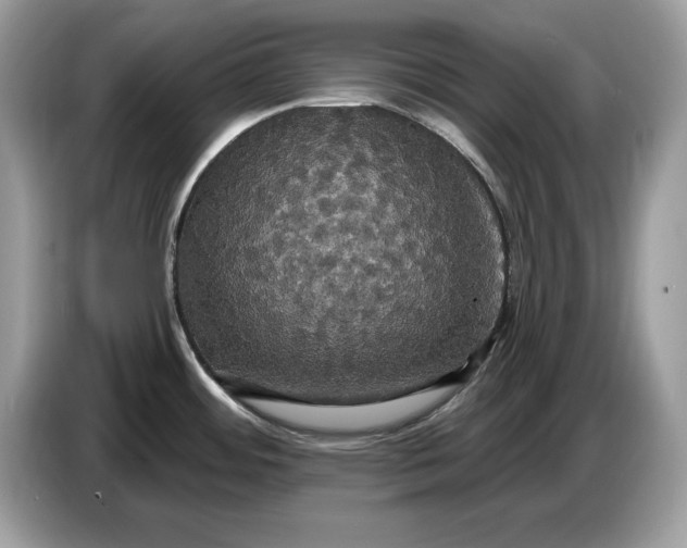 X0000086731484200704271620