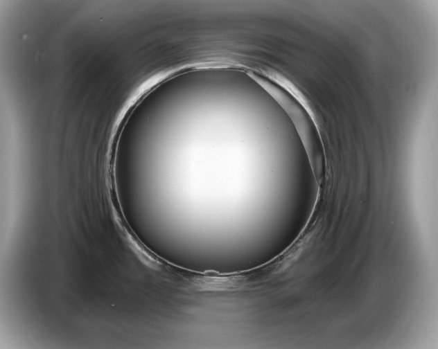 X0000086731485200704271620