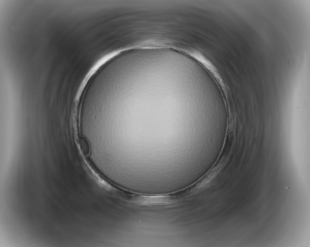 X0000086731486200704271620