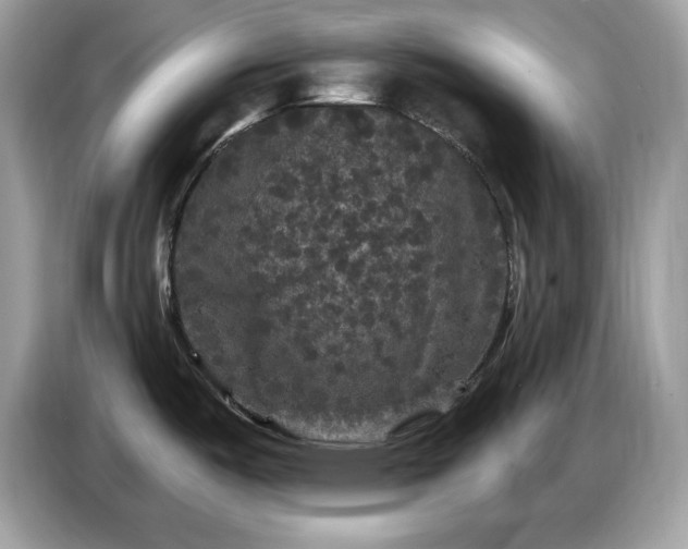 X0000086731487200704271620