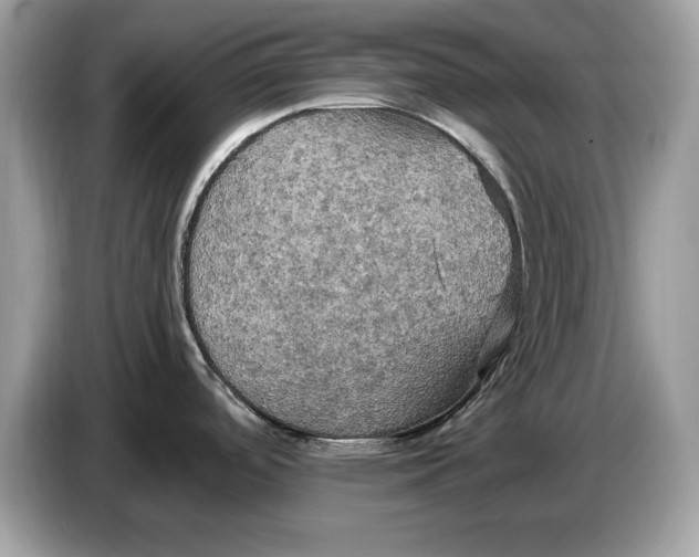 X0000086731488200704271620