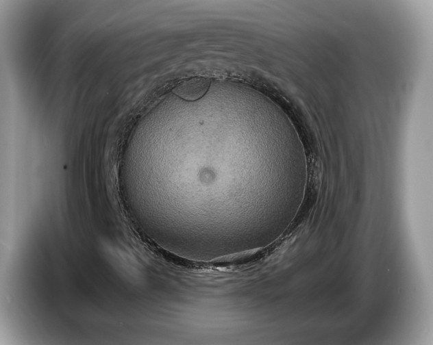 X0000086731489200704271620