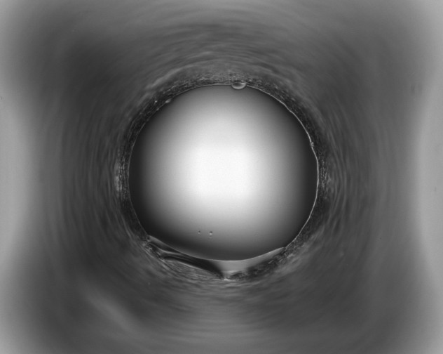 X0000086731490200704271620