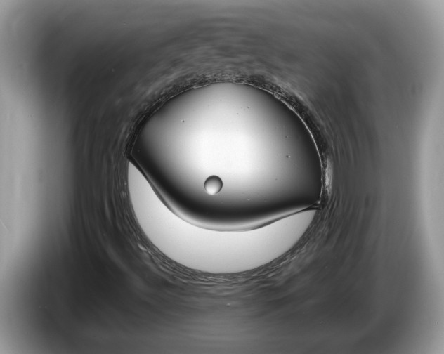 X0000086731492200704271620