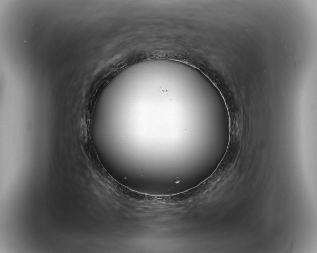 X0000086731493200704271620