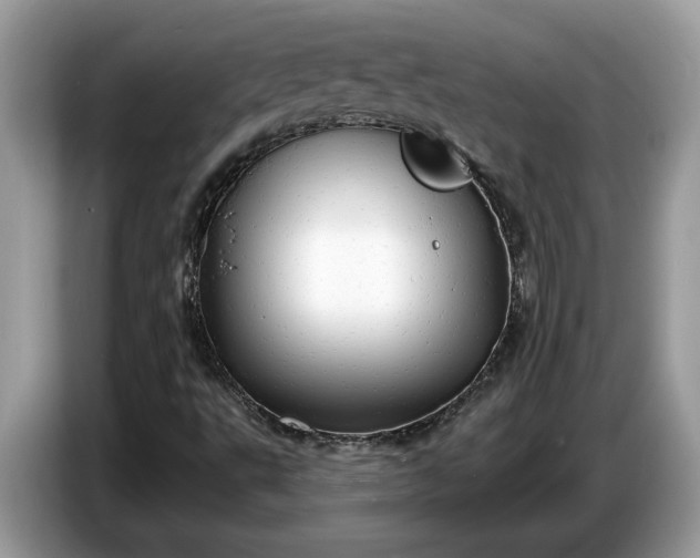 X0000086731495200704271620