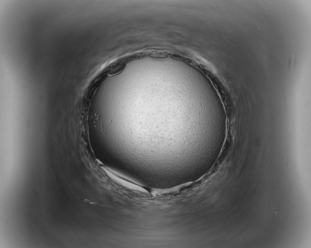 X0000086731496200704271620