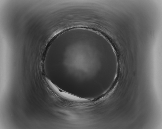 X0000086731497200704271620