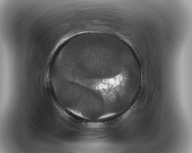 X0000086731498200704271620