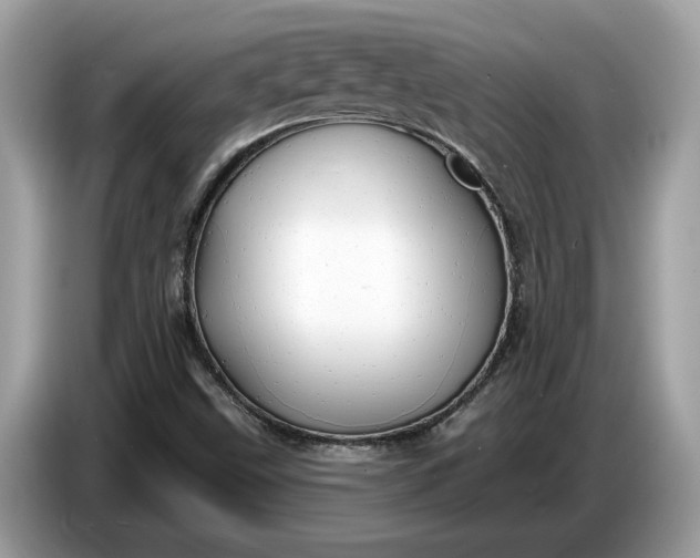 X0000086731499200704271620