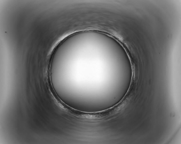 X0000086731500200704271620