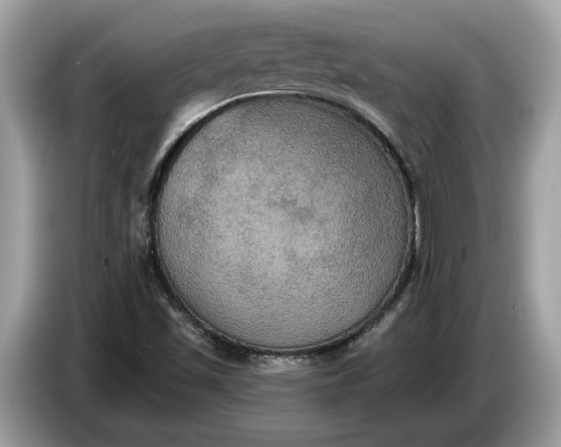 X0000086731501200704271620