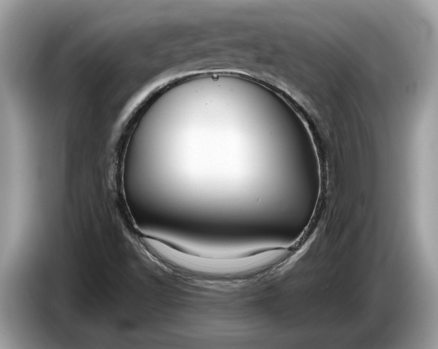 X0000086731502200704271620