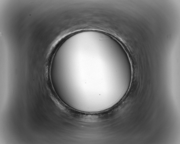 X0000086731503200704271620