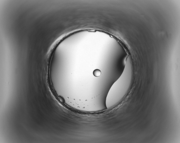 X0000086731504200704271620