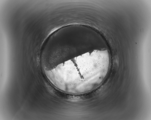 X0000086731505200704271620