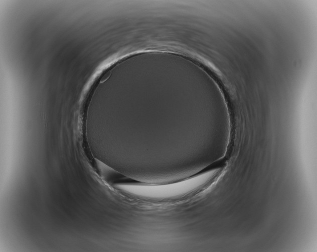 X0000086731506200704271620