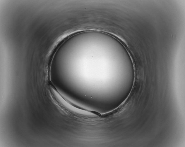 X0000086731507200704271620