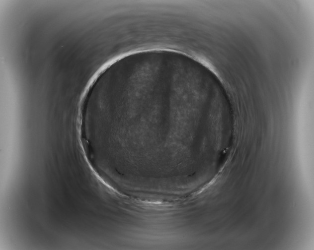 X0000086731508200704271620