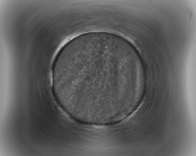 X0000086731509200704271620