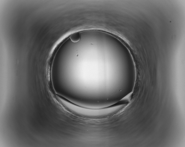 X0000086731510200704271620