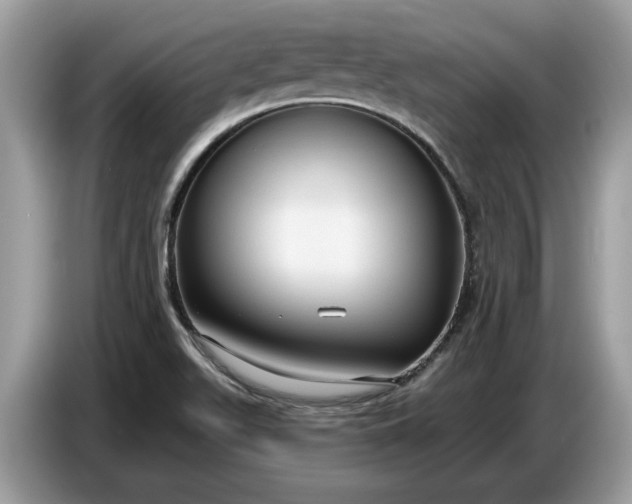 X0000086731511200704271620