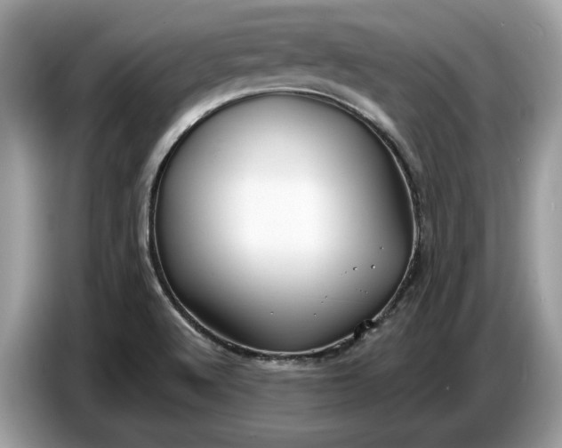 X0000086731512200704271620