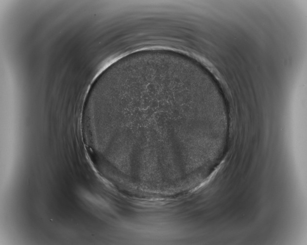 X0000086731513200704271620